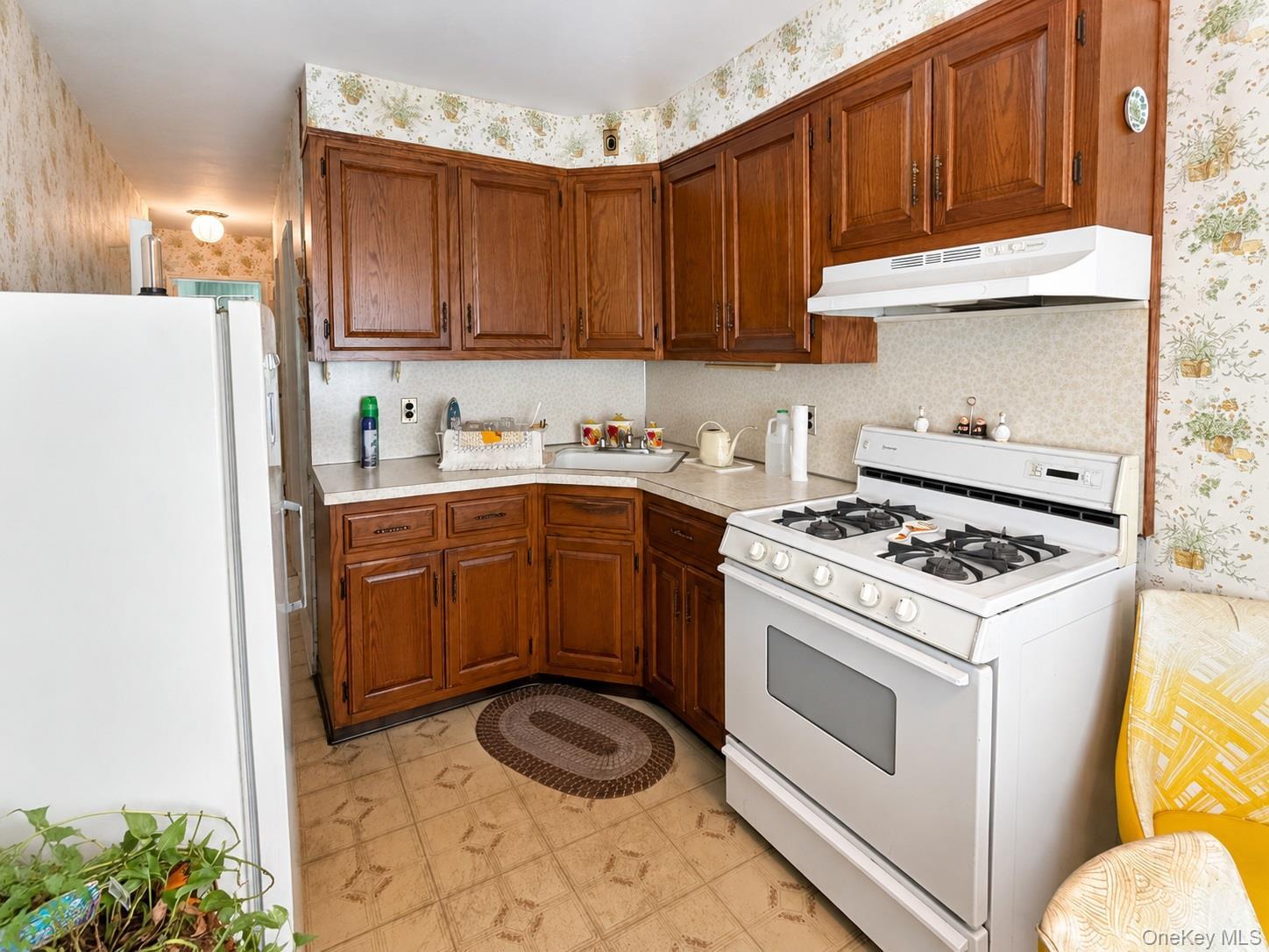 Single Family Cook Queens, NY 11379, MLS-1006888-3