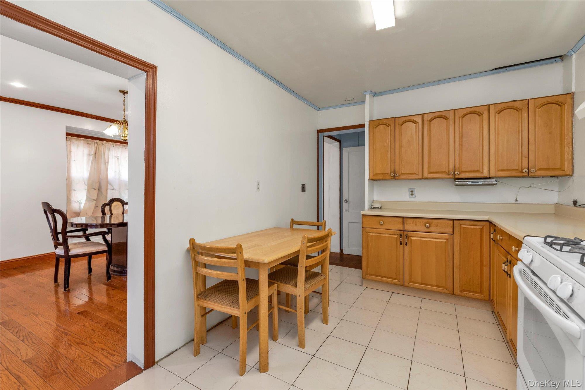 Single Family Springfield Queens, NY 11428, MLS-1006941-11