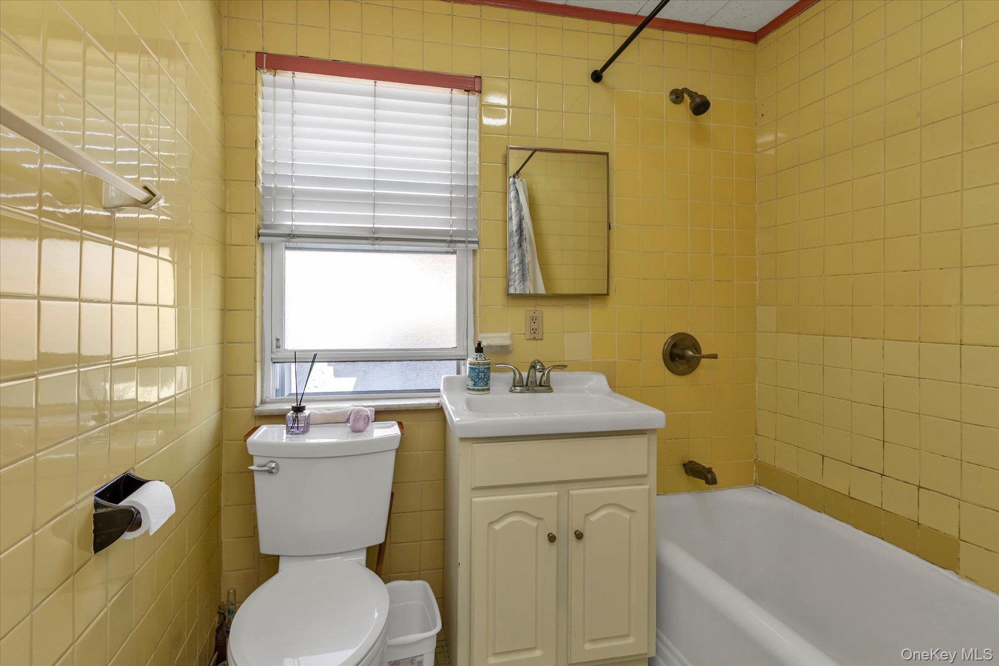 Single Family Springfield Queens, NY 11428, MLS-1006941-16