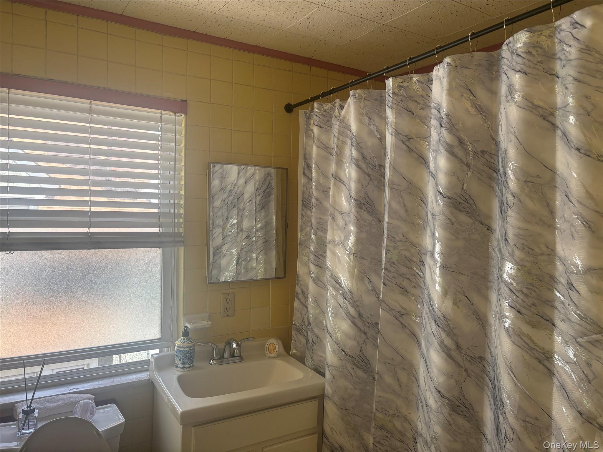 Single Family Springfield Queens, NY 11428, MLS-1006941-17
