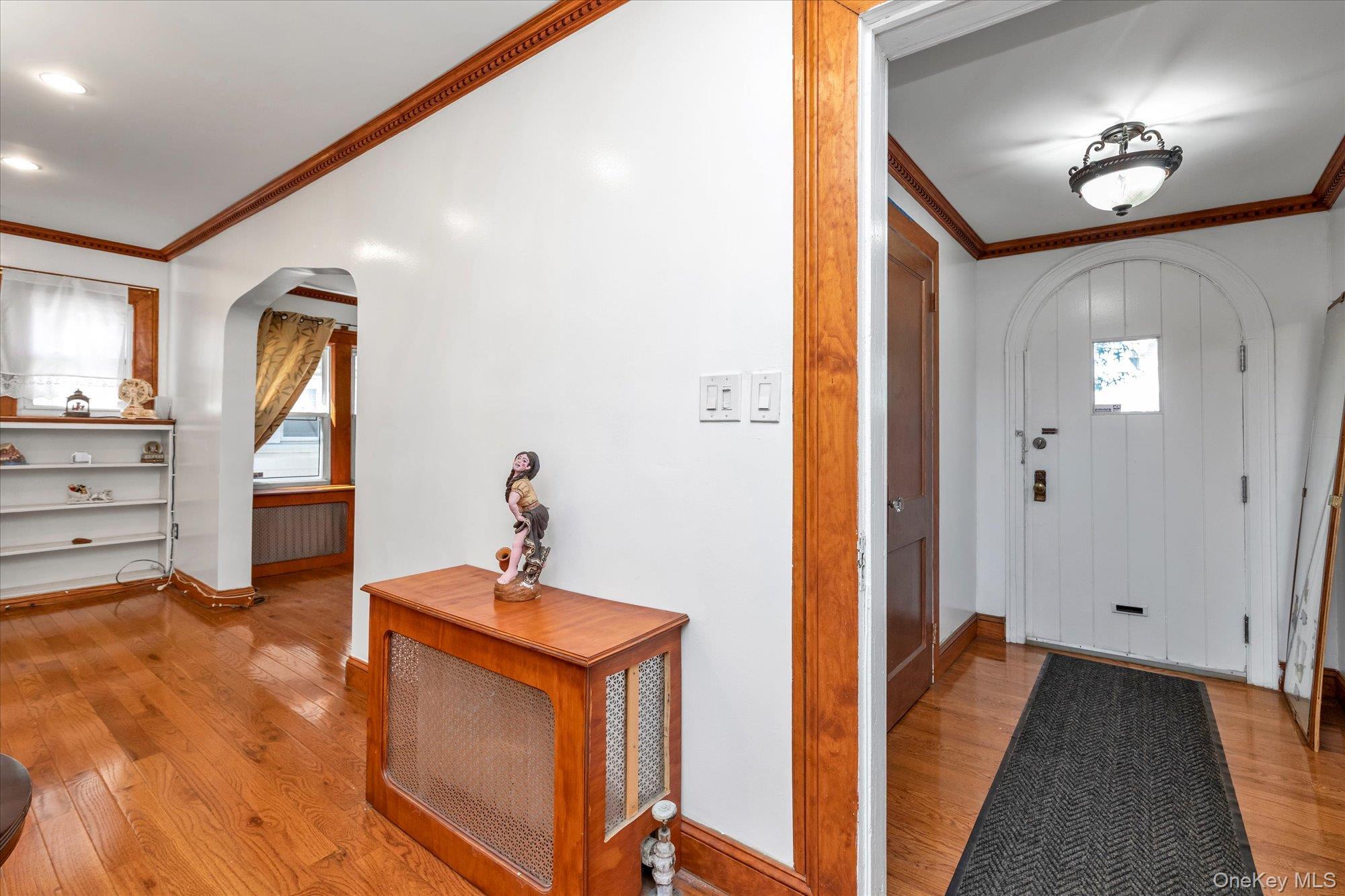 Single Family Springfield Queens, NY 11428, MLS-1006941-5