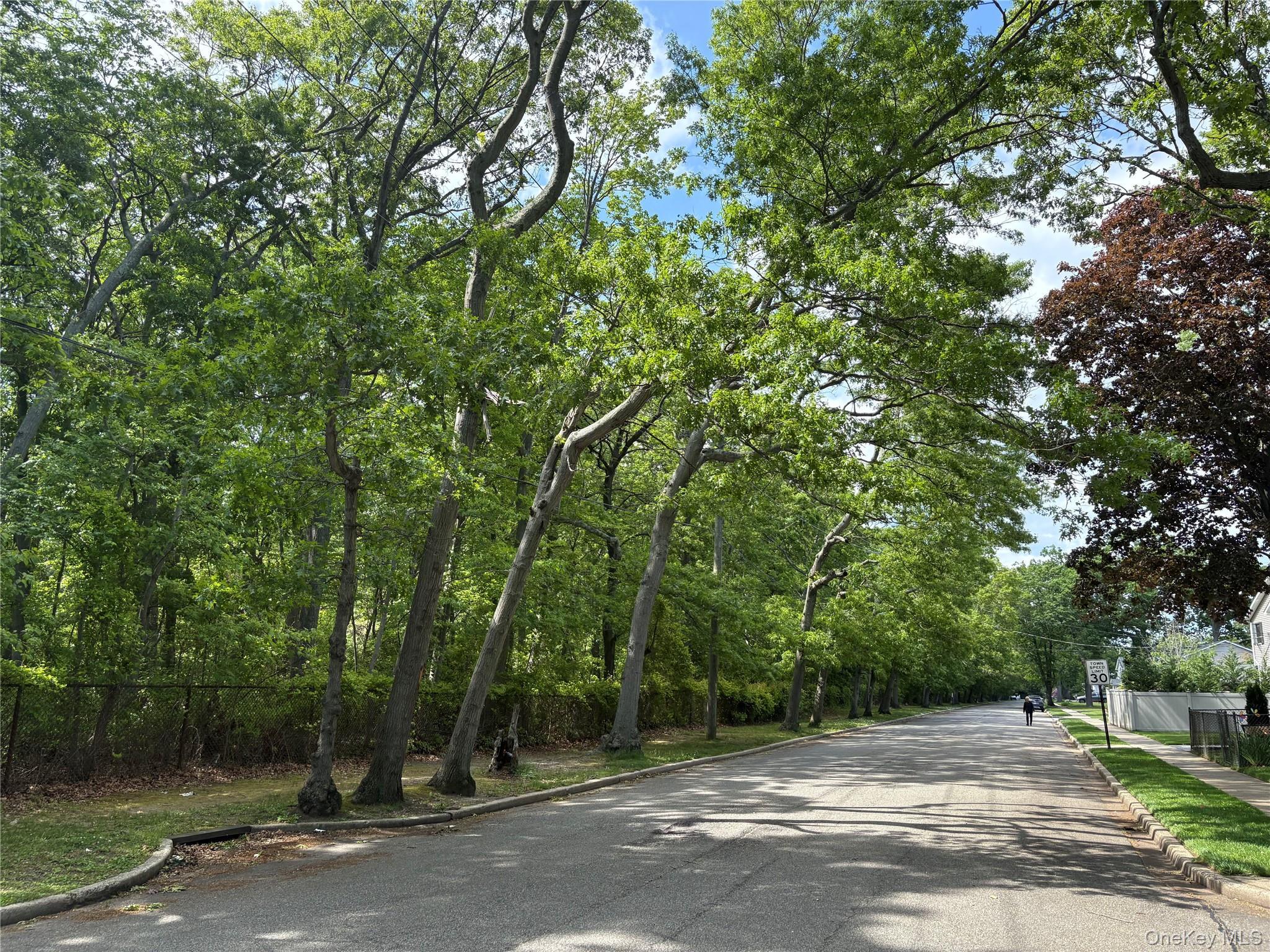 Single Family Euclid Avenue Nassau County, NY 11758, MLS-1006975-10