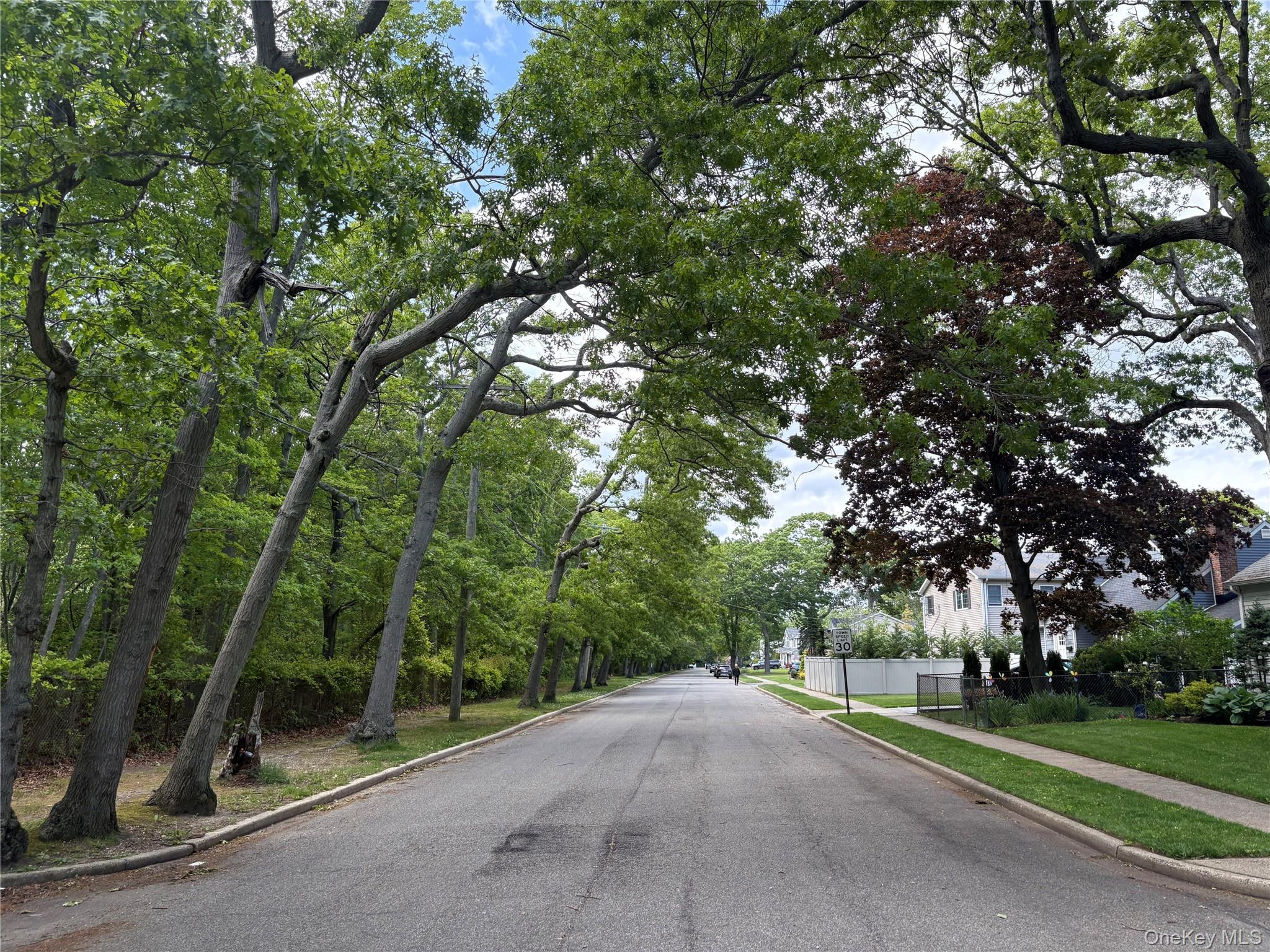 Single Family Euclid Avenue Nassau County, NY 11758, MLS-1006975-11