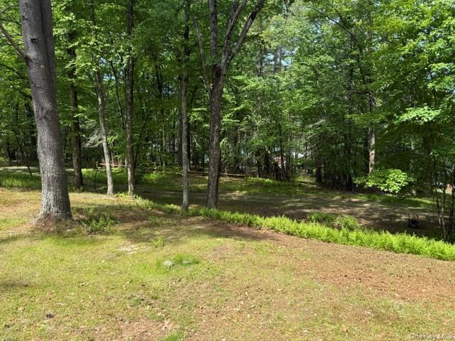 Single Family Perry Road  Sullivan County, NY 12719, MLS-1006992-12