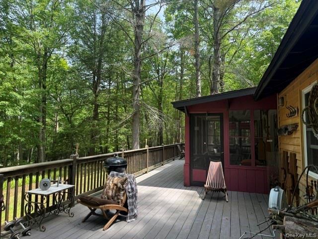 Single Family Perry Road  Sullivan County, NY 12719, MLS-1006992-13