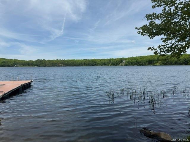 Single Family Perry Road  Sullivan County, NY 12719, MLS-1006992-2