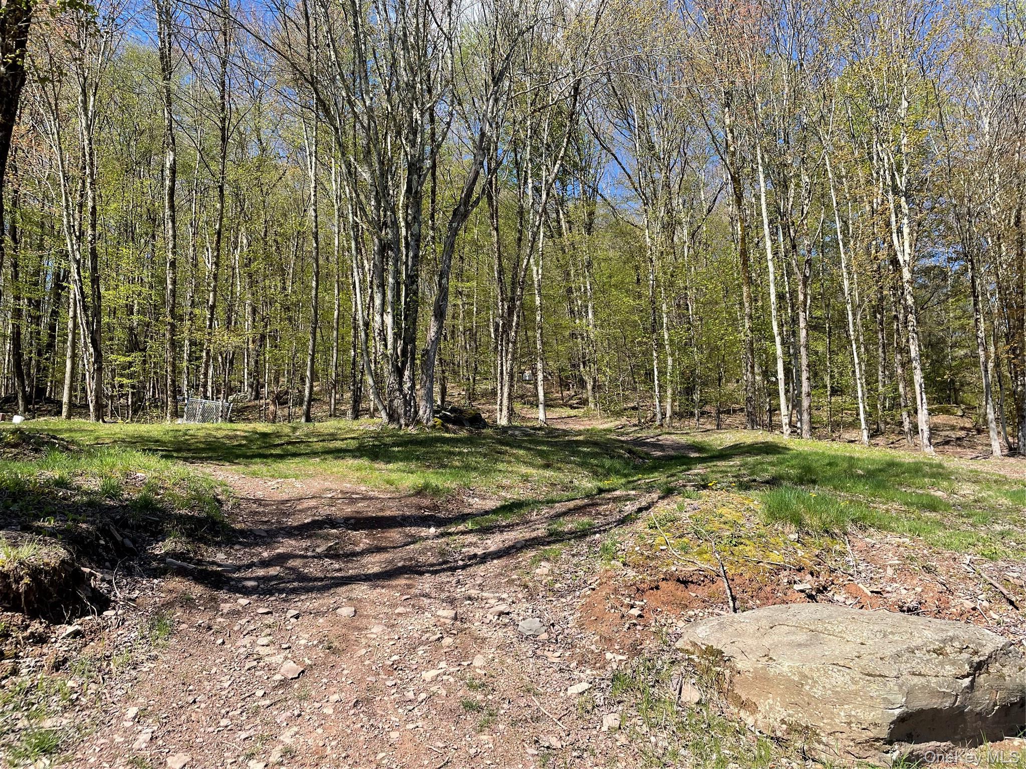 Single Family Wolfs Lair Delaware County, NY 13782, MLS-1006997-30