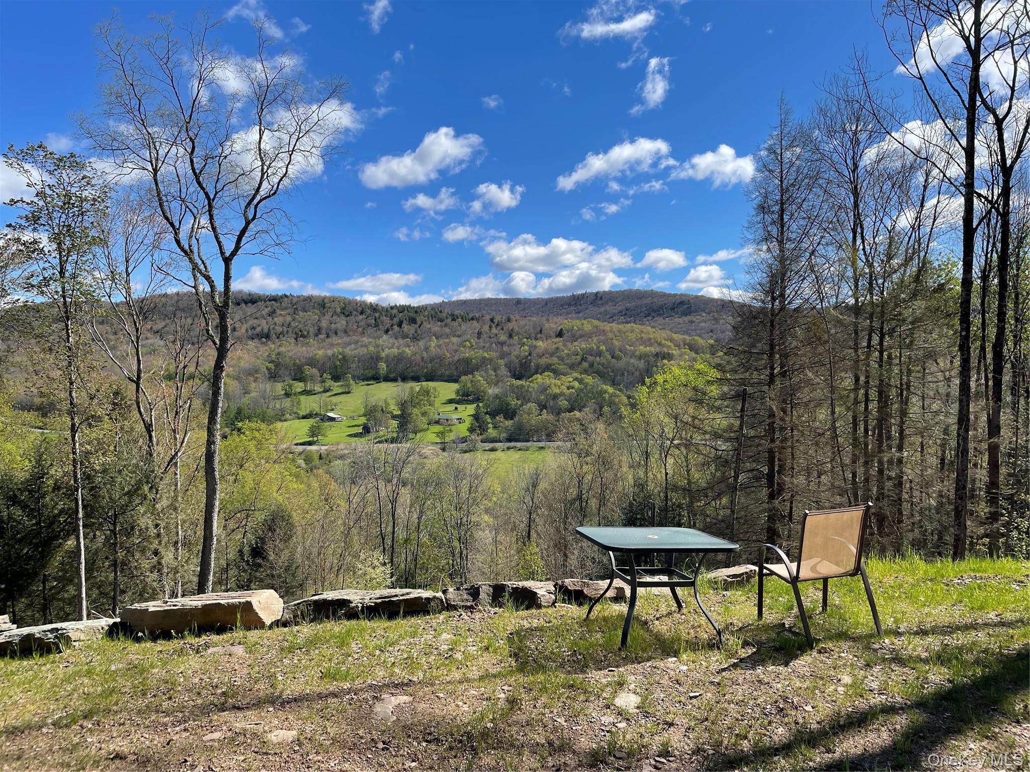 Single Family Wolfs Lair Delaware County, NY 13782, MLS-1006997-31