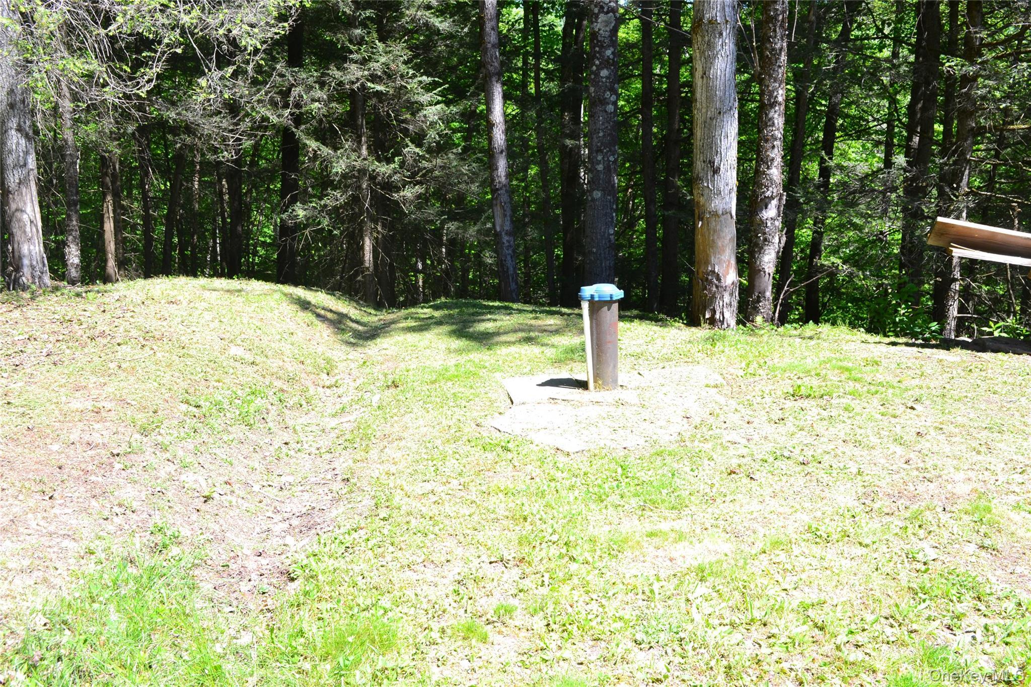 Single Family Wolfs Lair Delaware County, NY 13782, MLS-1006997-32