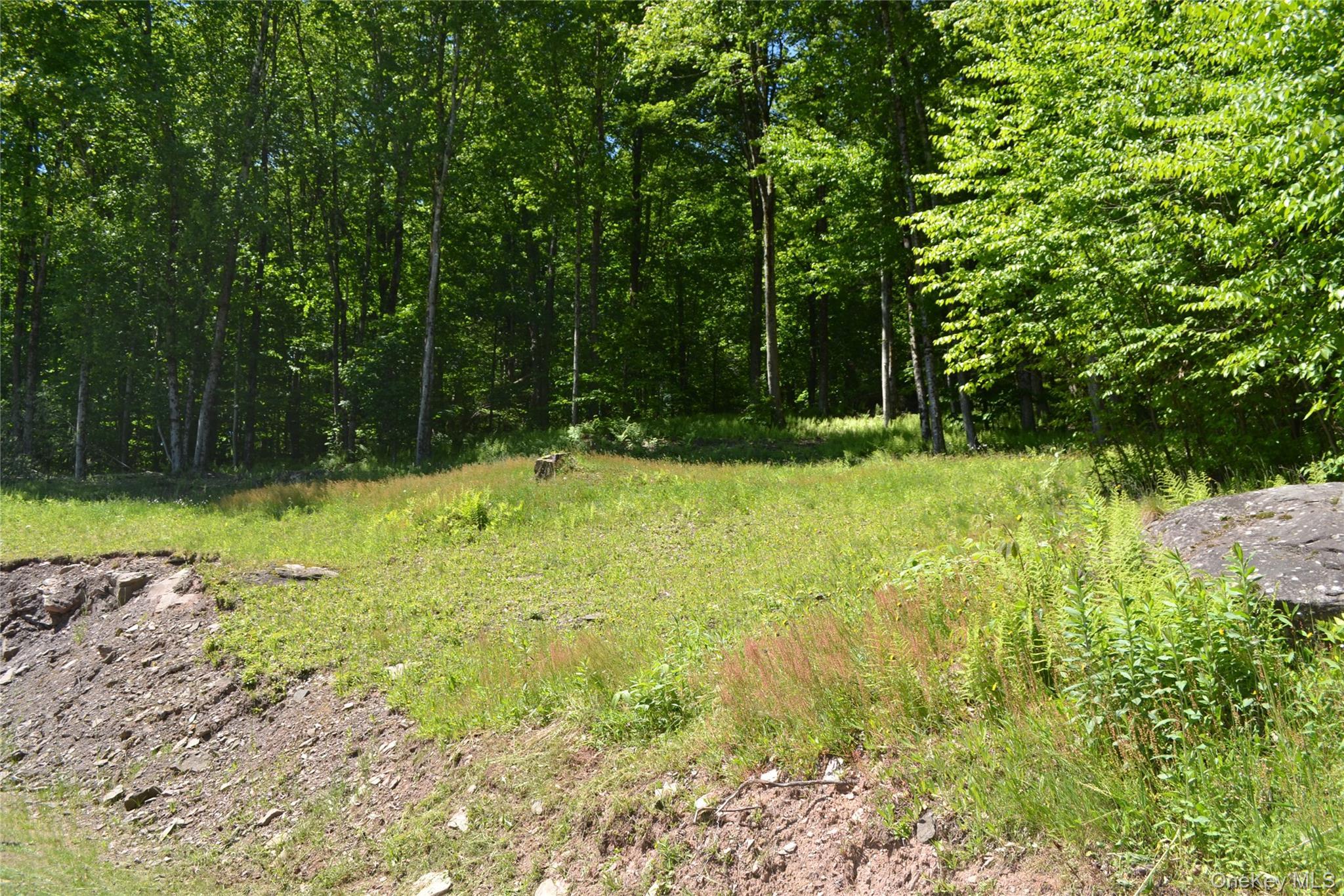Single Family Wolfs Lair Delaware County, NY 13782, MLS-1006997-33