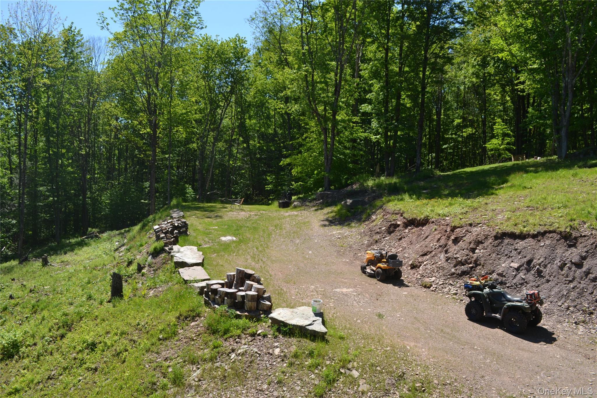 Single Family Wolfs Lair Delaware County, NY 13782, MLS-1006997-34