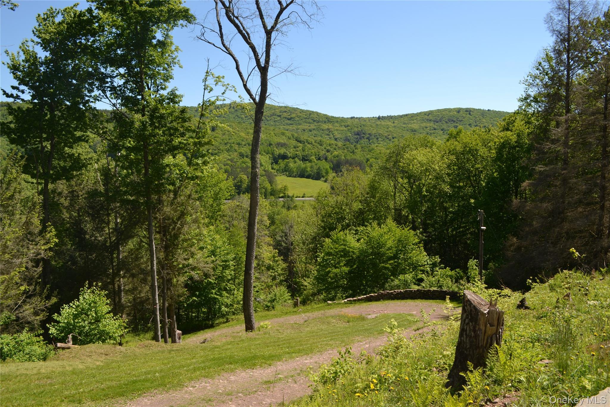 Single Family Wolfs Lair Delaware County, NY 13782, MLS-1006997-35