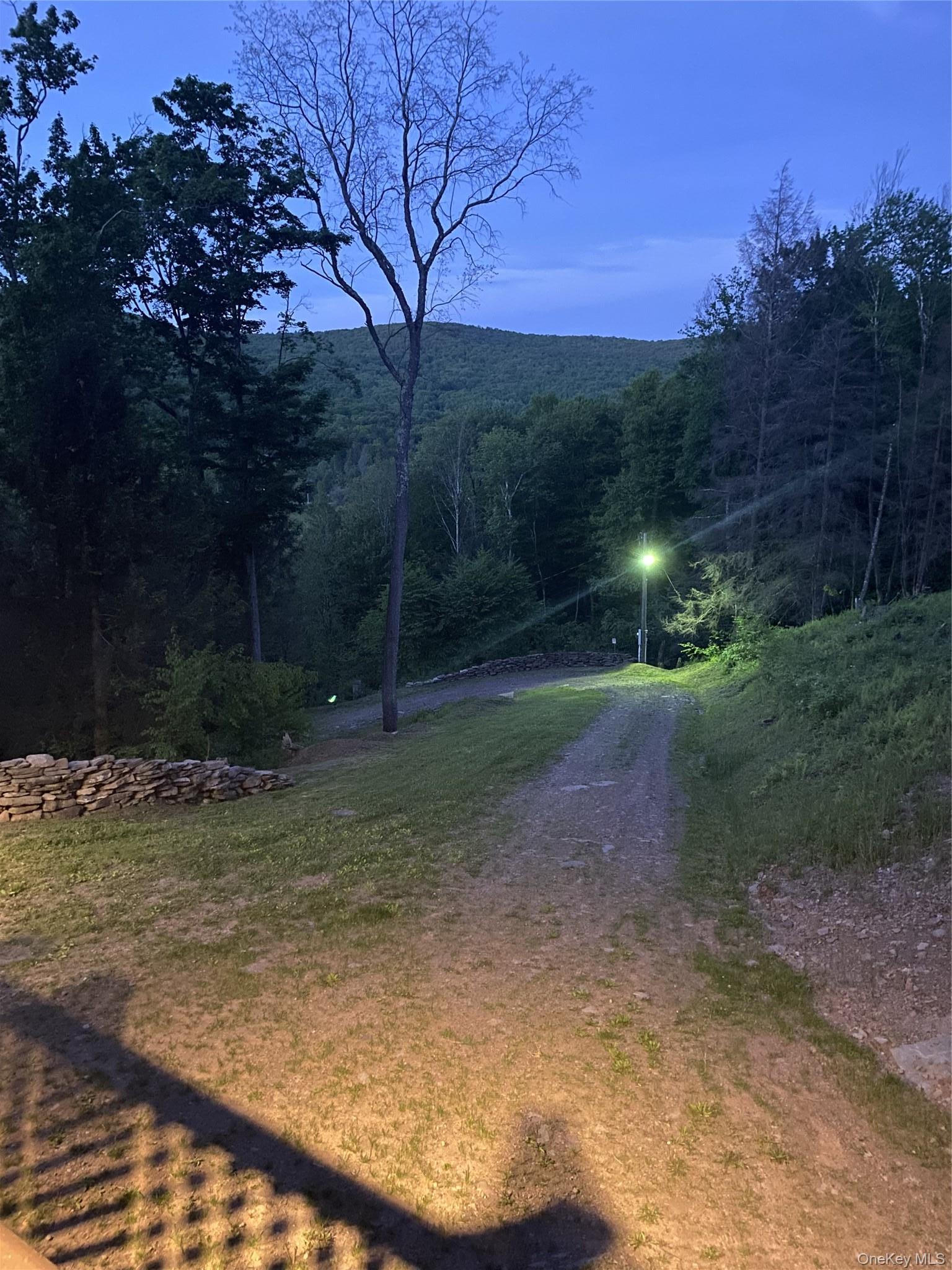 Single Family Wolfs Lair Delaware County, NY 13782, MLS-1006997-36