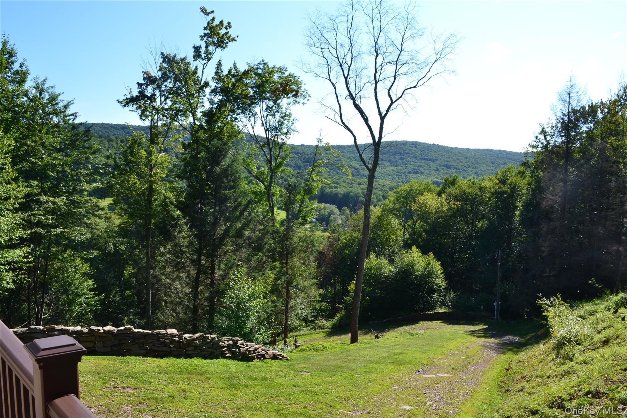 Single Family Wolfs Lair Delaware County, NY 13782, MLS-1006997-38