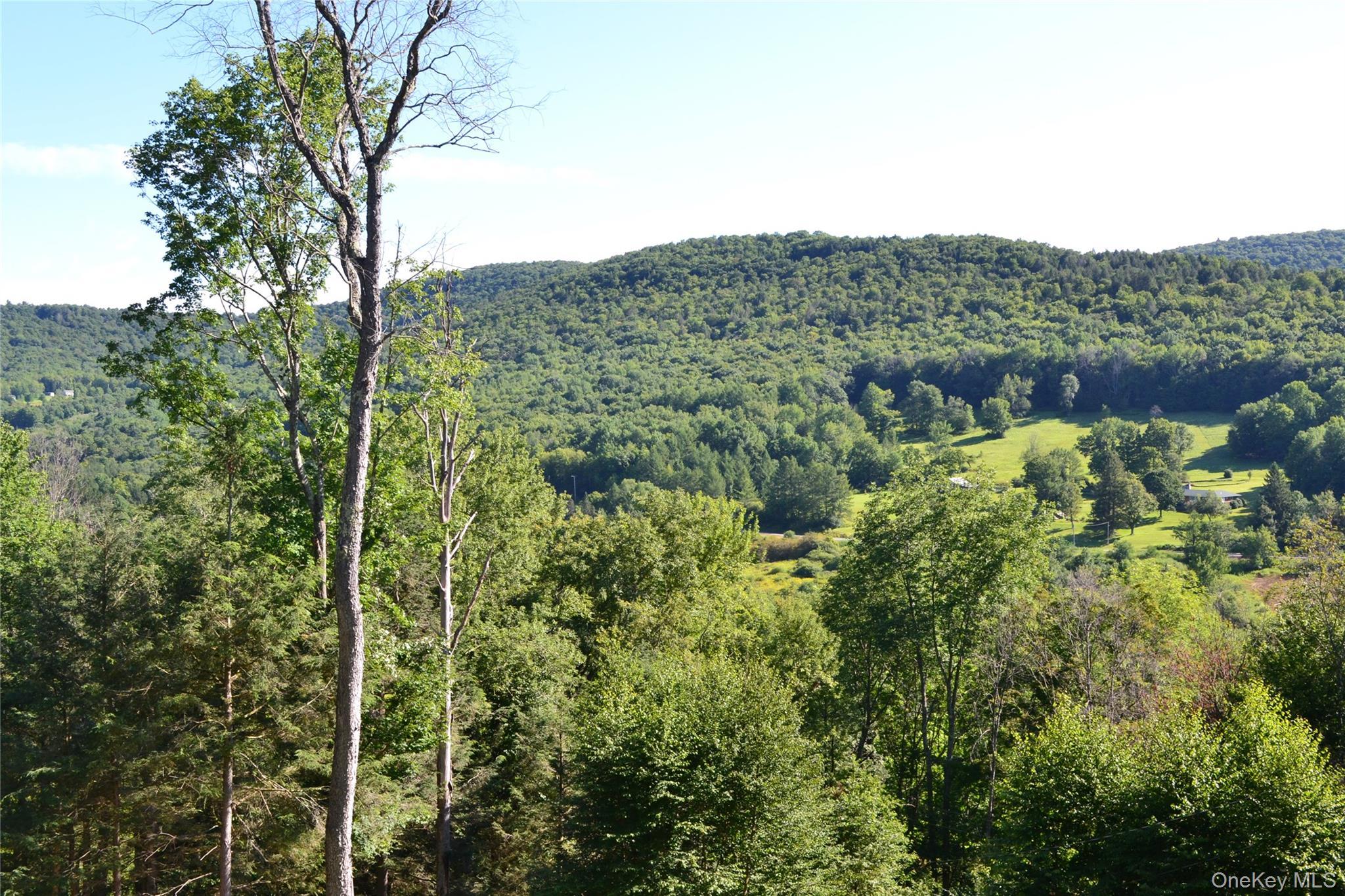 Single Family Wolfs Lair Delaware County, NY 13782, MLS-1006997-39