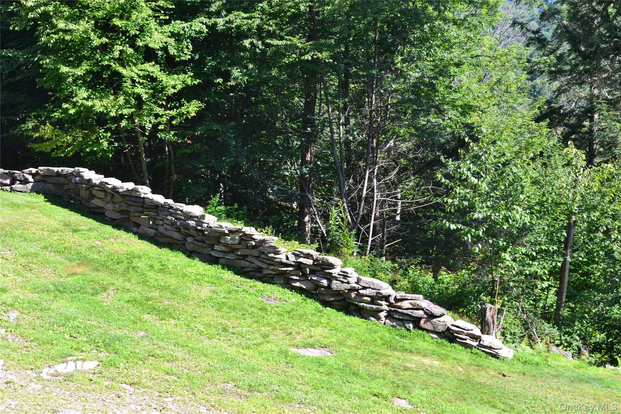 Single Family Wolfs Lair Delaware County, NY 13782, MLS-1006997-40