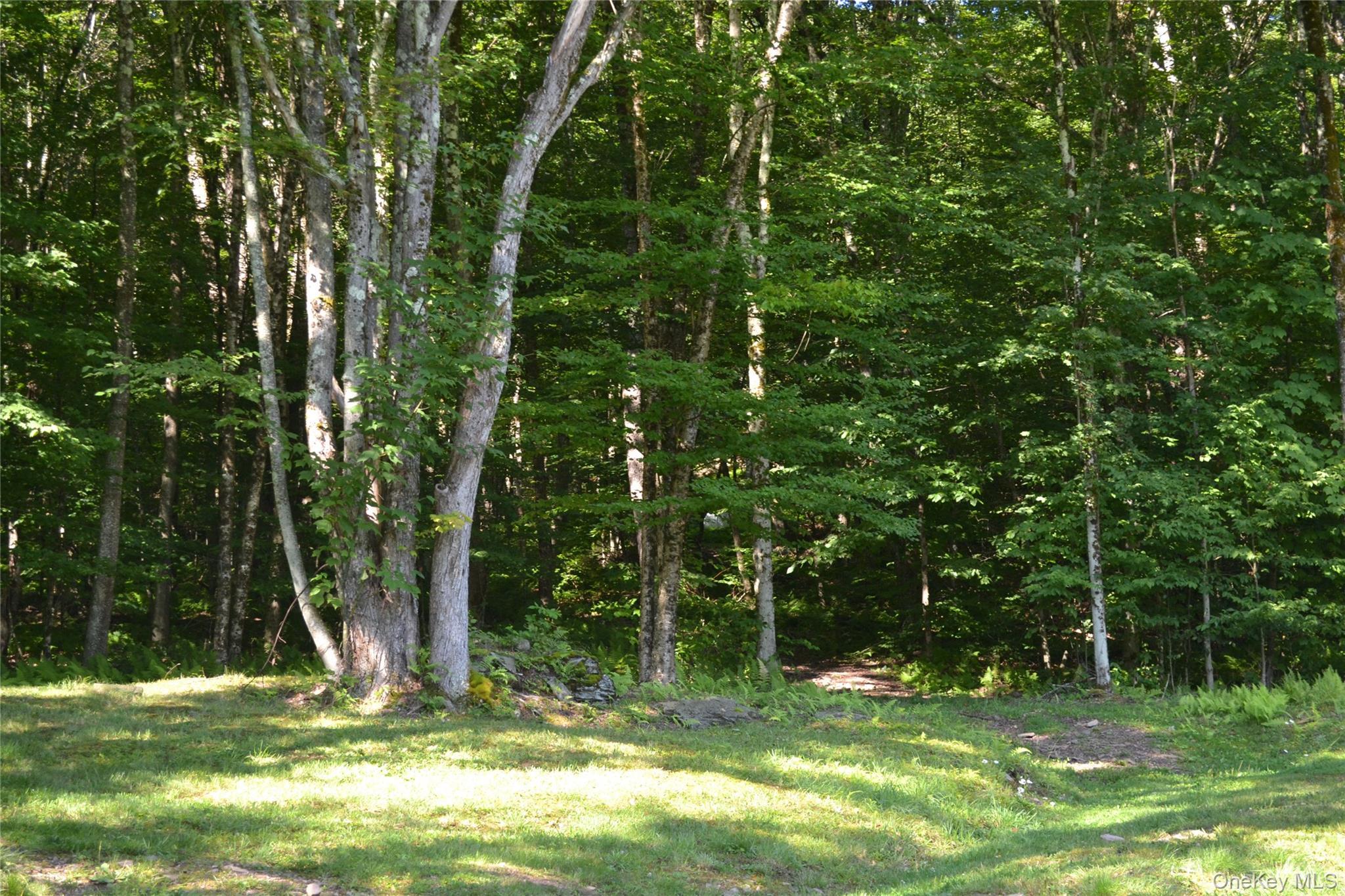 Single Family Wolfs Lair  Delaware County, NY 13782, MLS-1006997-41