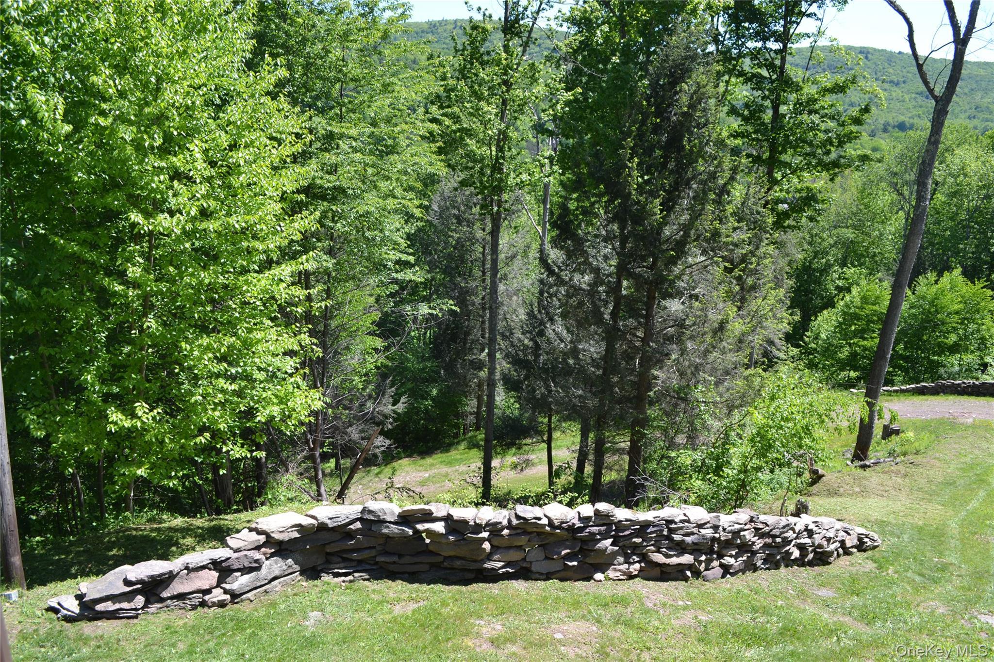 Single Family Wolfs Lair Delaware County, NY 13782, MLS-1006997-6