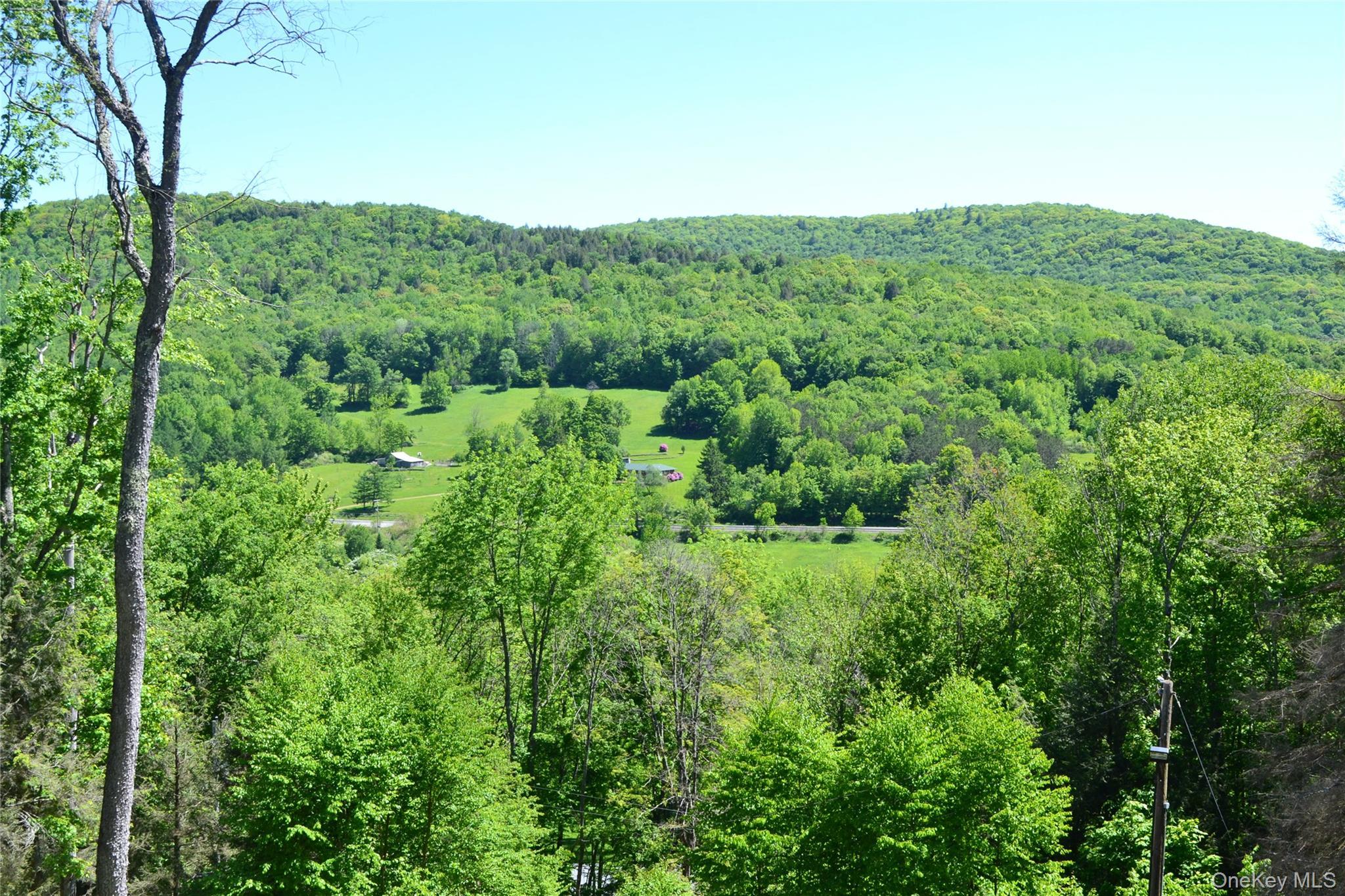 Single Family Wolfs Lair Delaware County, NY 13782, MLS-1006997-7