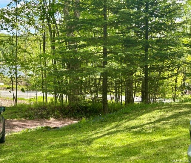 Single Family Lake Muskoday Road Sullivan County, NY 12776, MLS-1007013-2