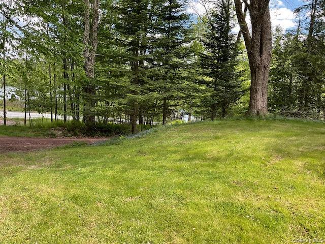 Single Family Lake Muskoday Road Sullivan County, NY 12776, MLS-1007013-3