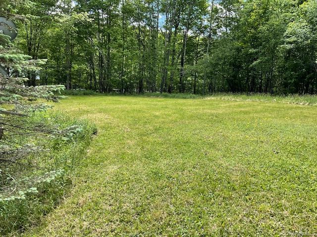 Single Family Lake Muskoday Road Sullivan County, NY 12776, MLS-1007013-4