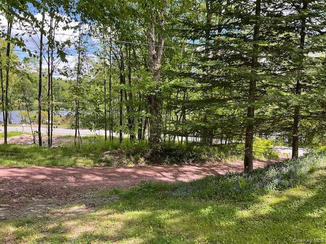 Single Family Lake Muskoday Road Sullivan County, NY 12776, MLS-1007013-6