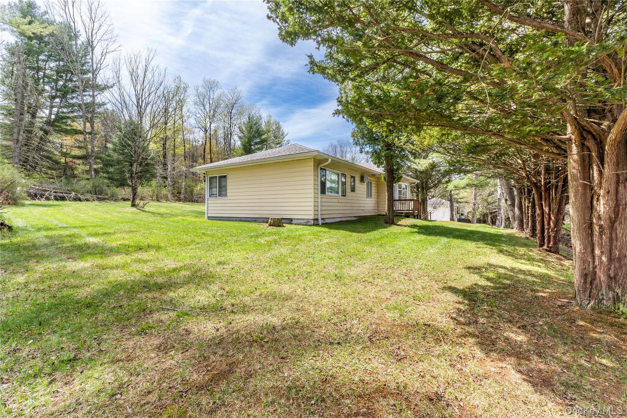 Single Family Jade Lane Sullivan County, NY 12783, MLS-1007106-21