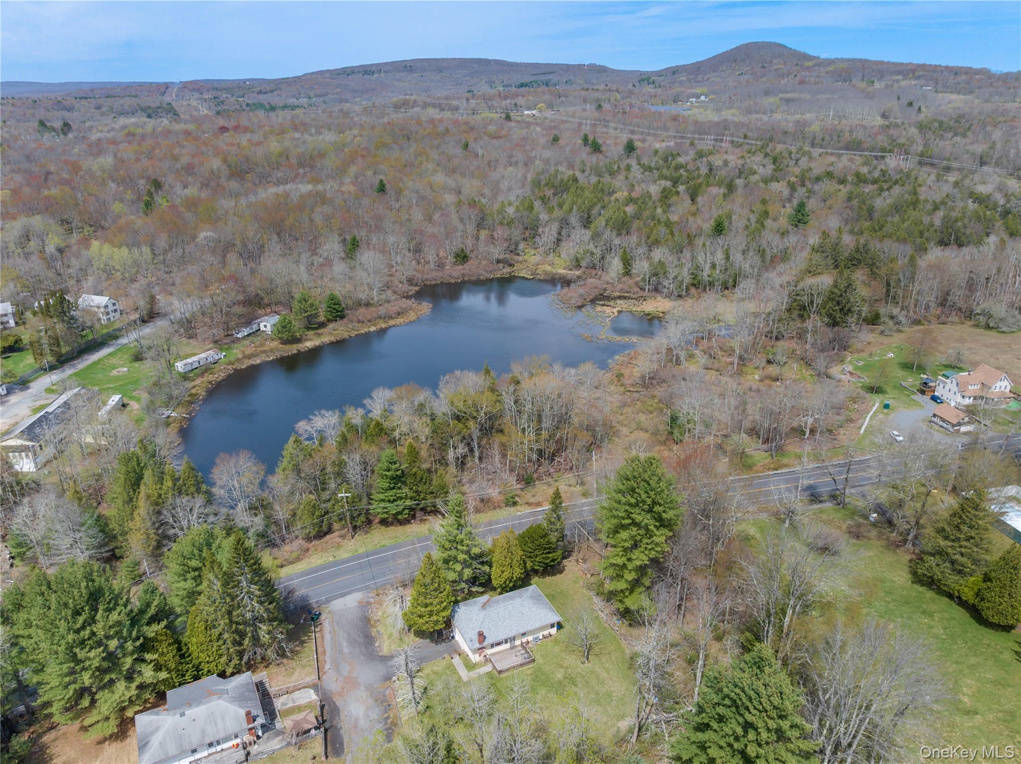 Single Family Jade Lane Sullivan County, NY 12783, MLS-1007106-22