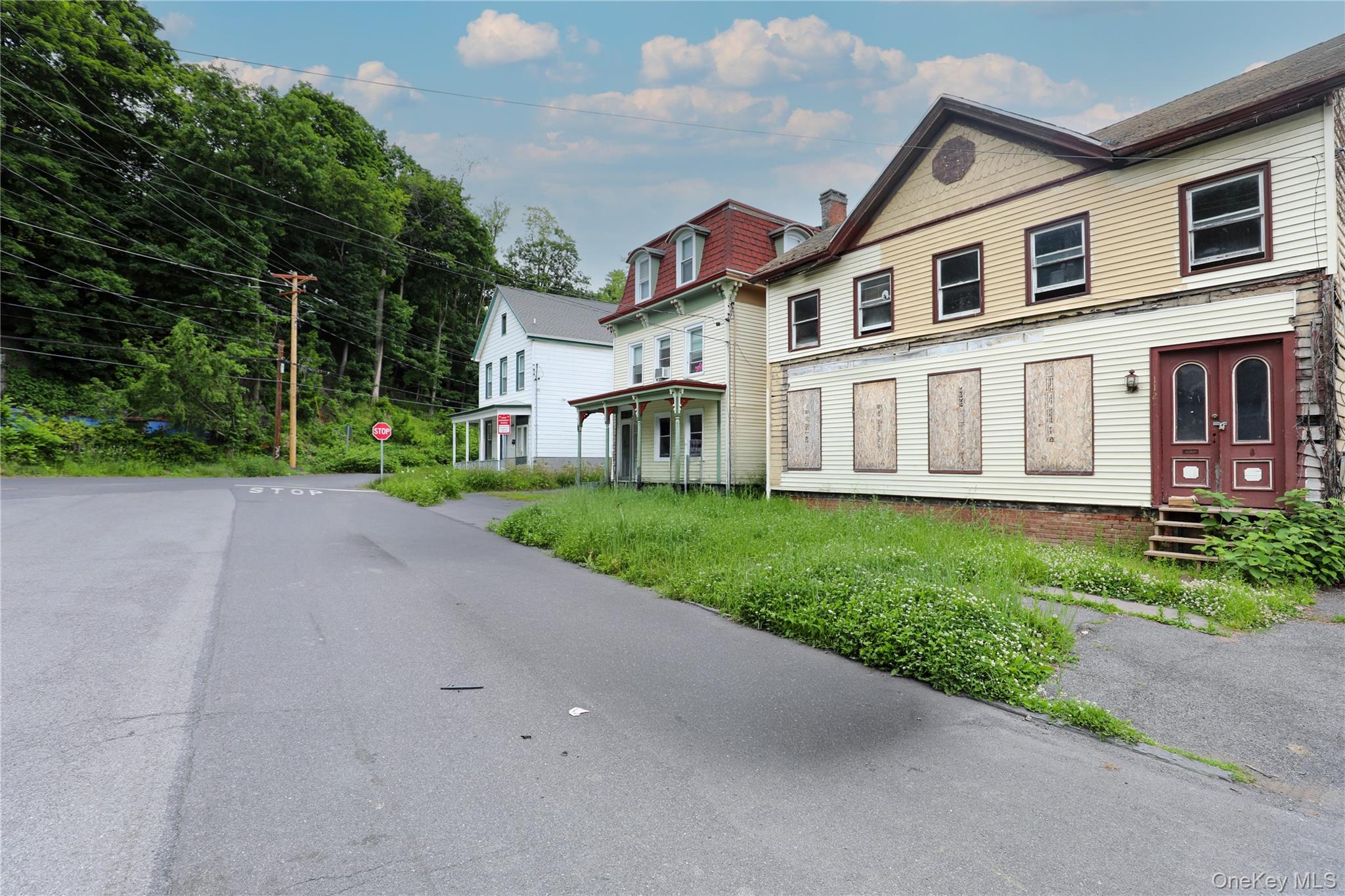 Single Family Hone  Ulster County, NY 12401, MLS-1007214-21