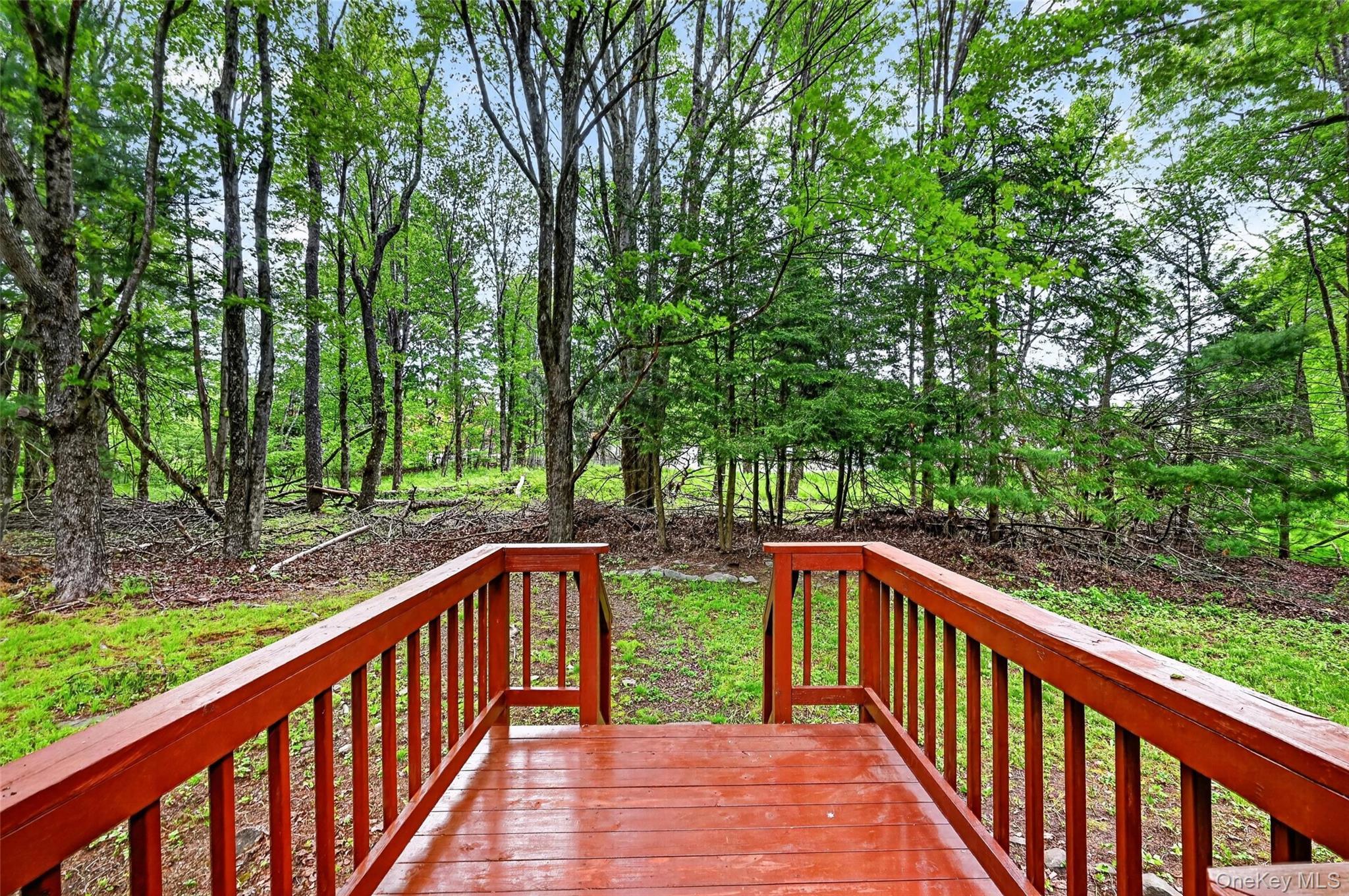 Single Family Summit Place Sullivan County, NY 12701, MLS-1007217-22