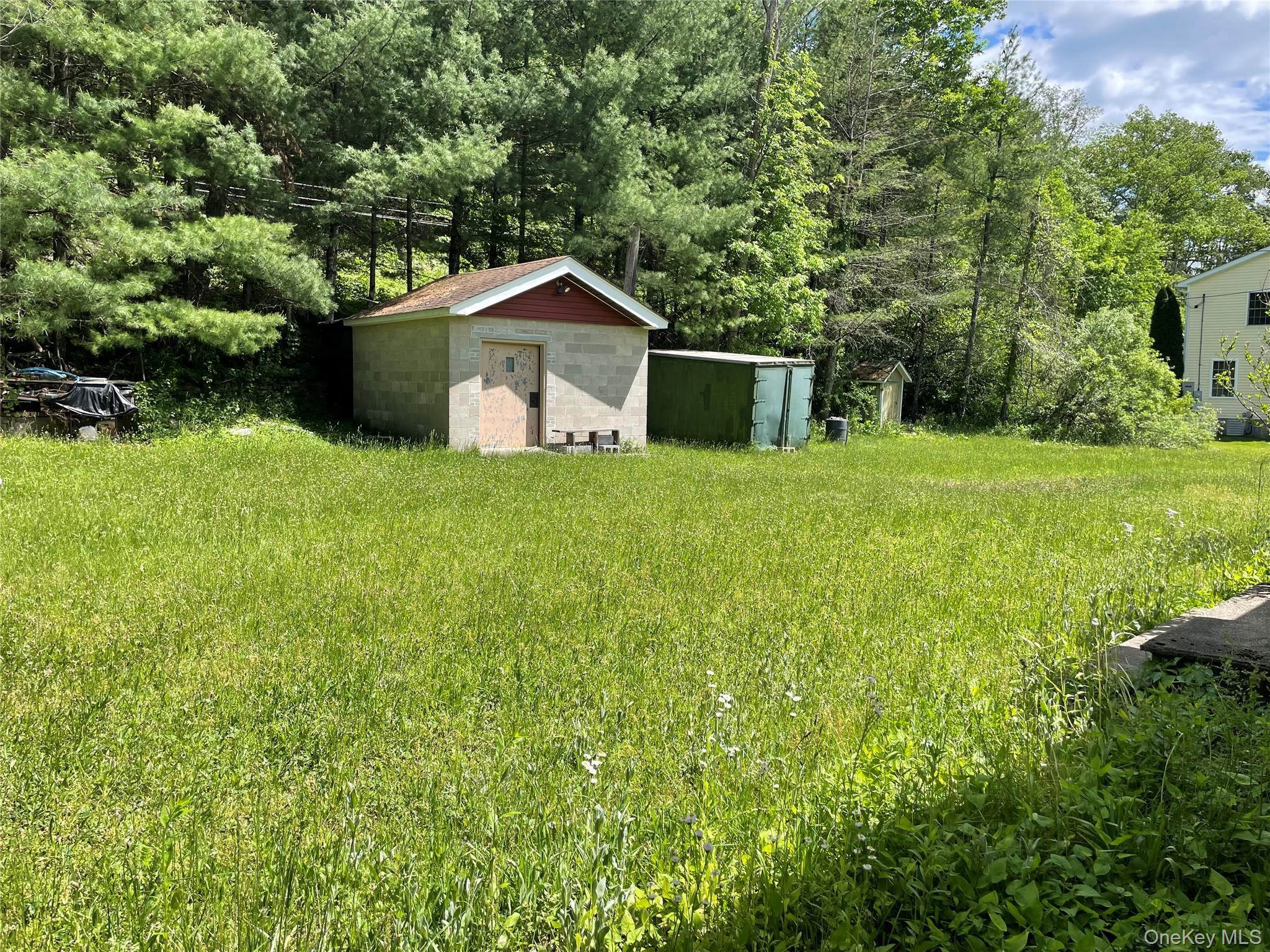 Single Family Fire House Road Sullivan County, NY 12781, MLS-1007269-12