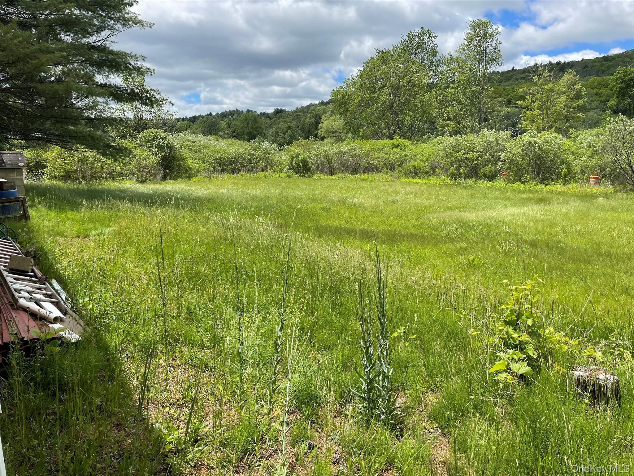 Single Family Fire House Road Sullivan County, NY 12781, MLS-1007269-2