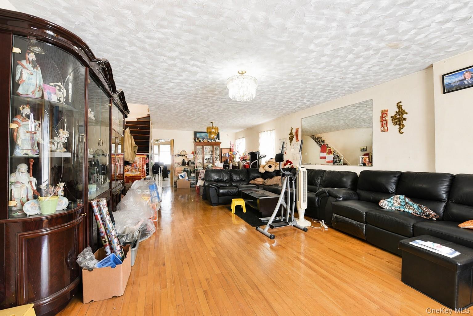 Single Family Coney Island  Brooklyn, NY 11223, MLS-1007279-7