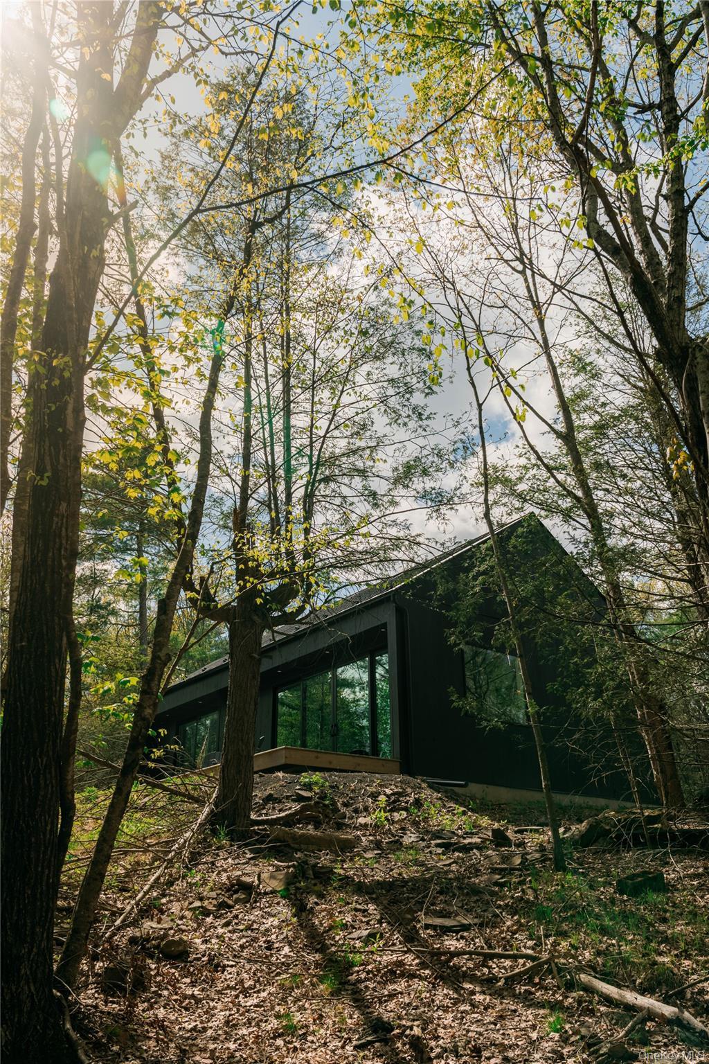 Single Family Goat Hill Road  Ulster County, NY 12477, MLS-1007349-20