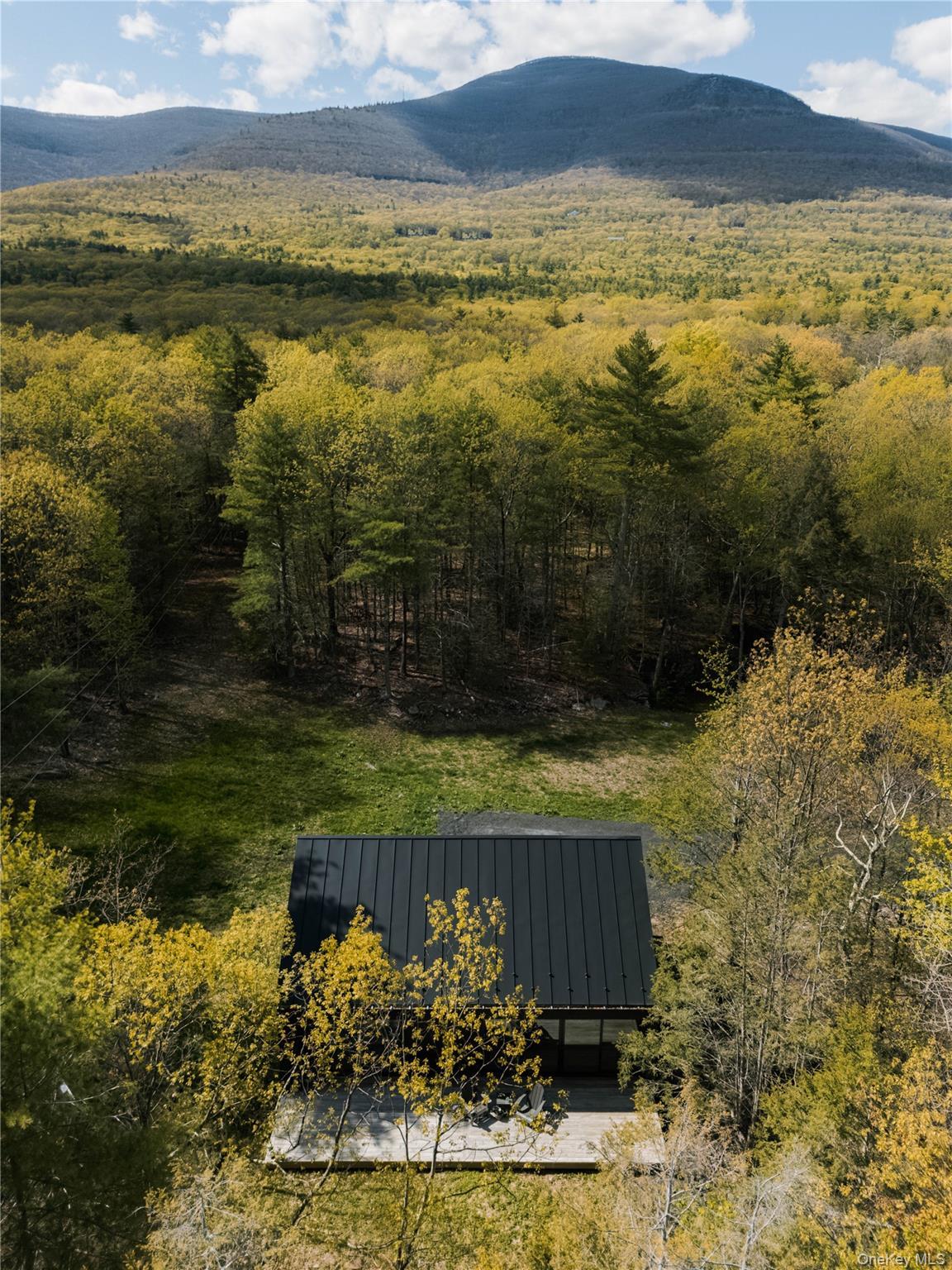 Single Family Goat Hill Road Ulster County, NY 12477, MLS-1007349-3