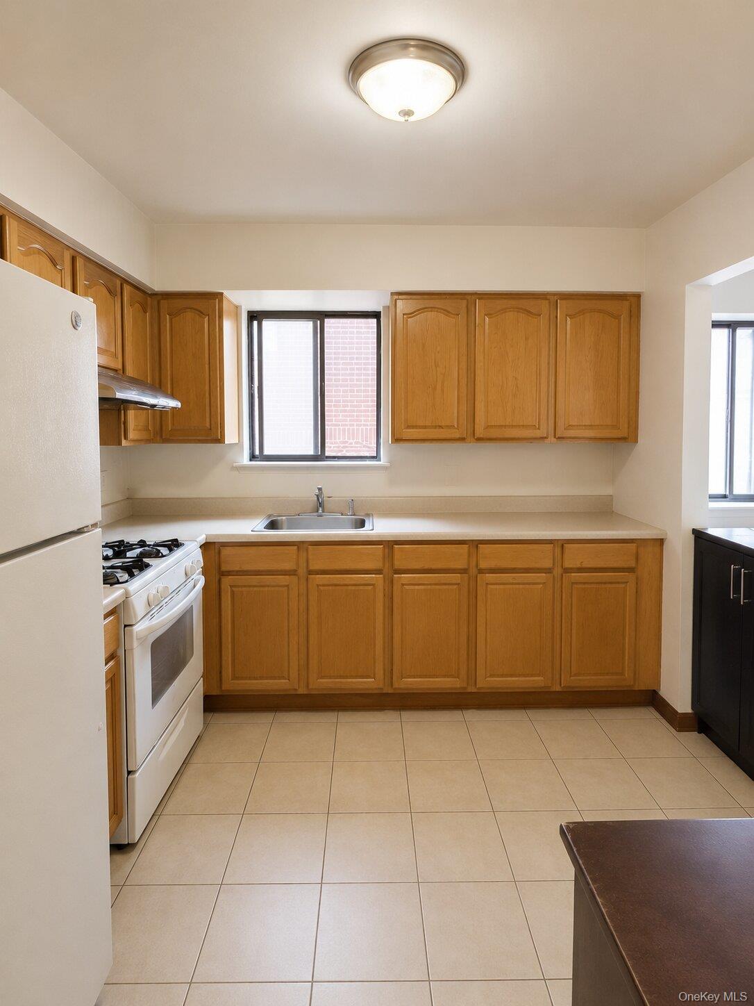 Single Family 136th Street  Queens, NY 11355, MLS-1007395-17