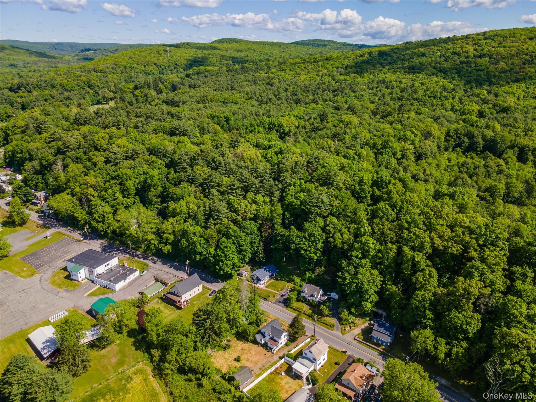 Single Family Main Street Orange County, NY 12780, MLS-1007442-37