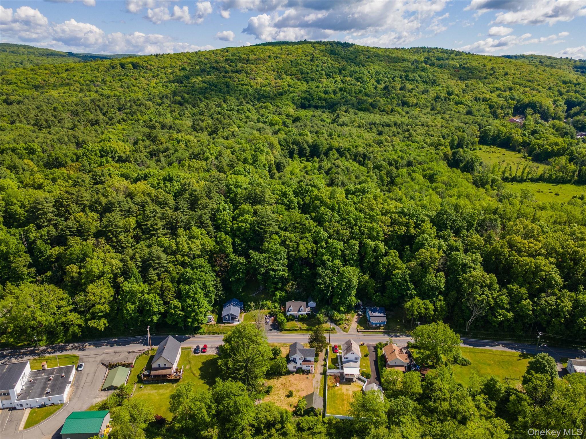 Single Family Main Street Orange County, NY 12780, MLS-1007442-38
