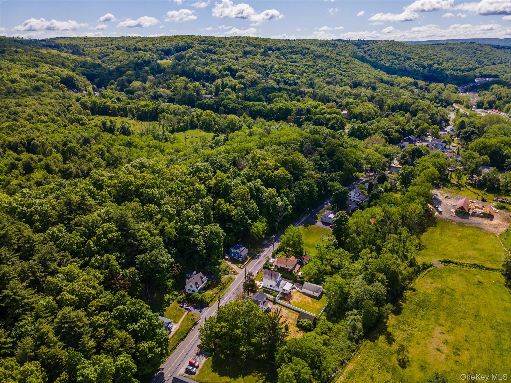 Single Family Main Street Orange County, NY 12780, MLS-1007442-39