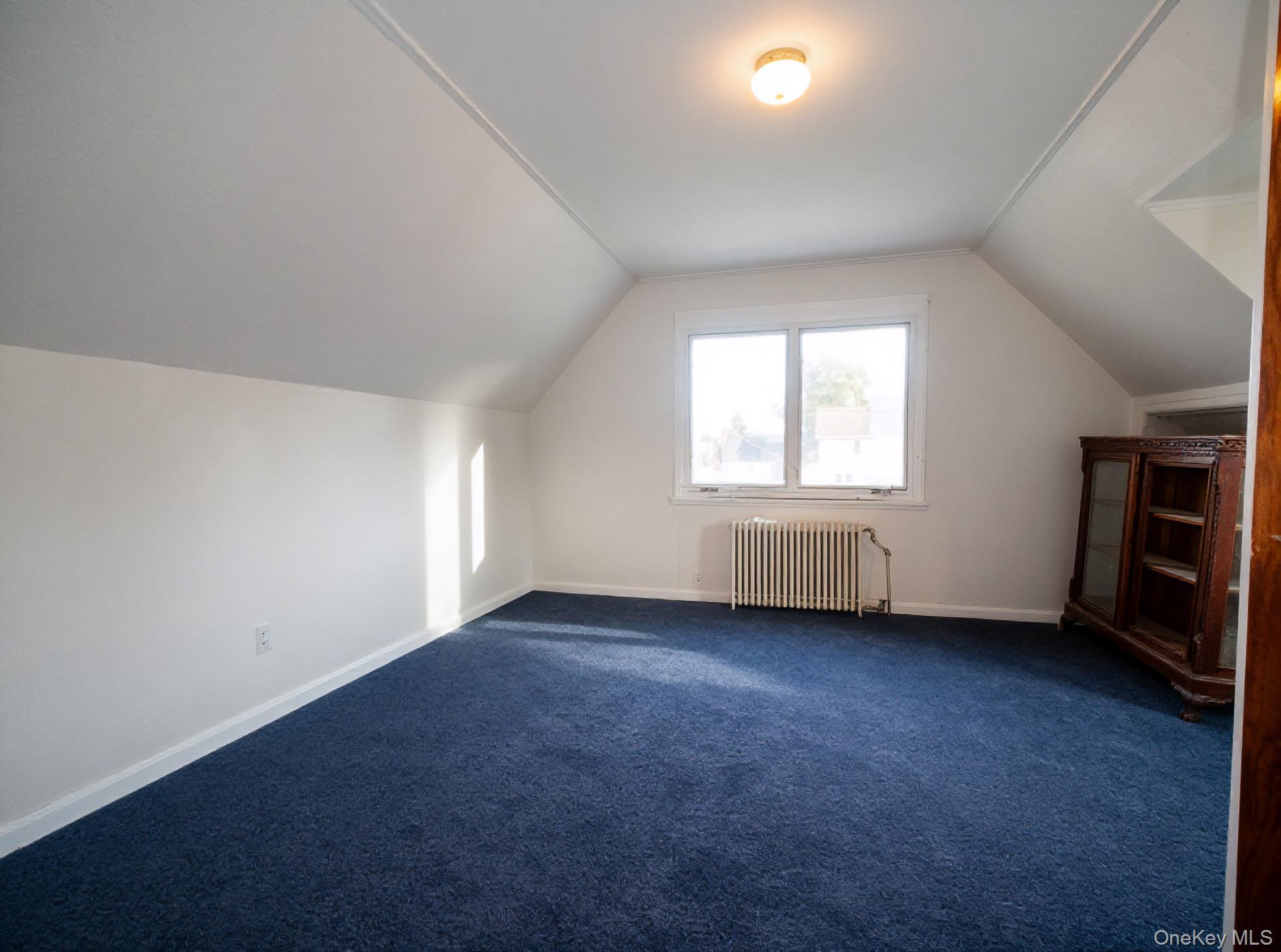 Single Family 242nd Street  Queens, NY 11422, MLS-1007454-8