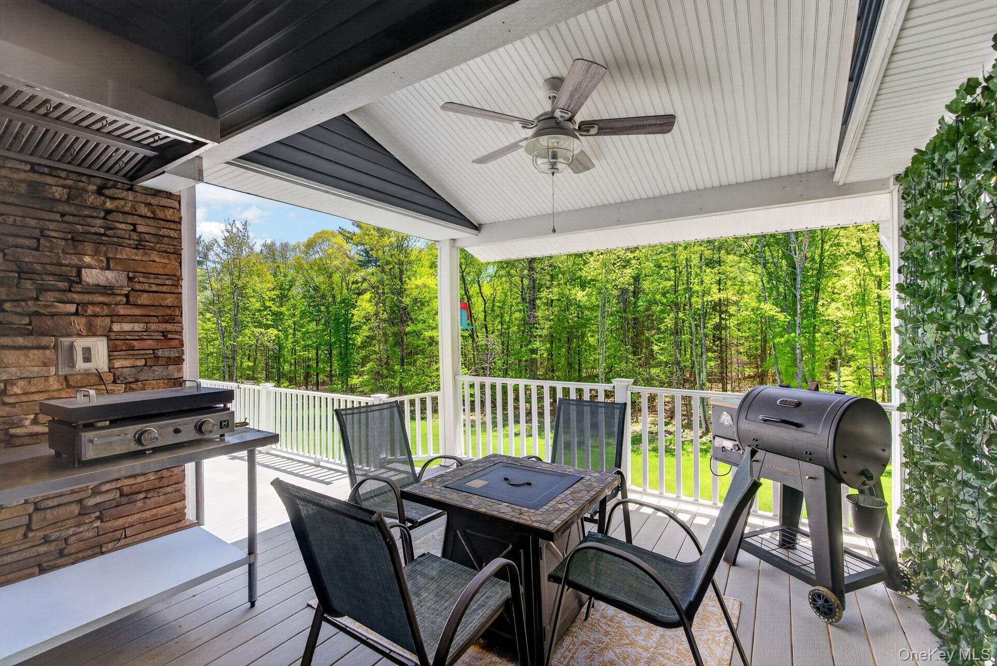 Single Family Morrison Road Greene County, NY 12405, MLS-1007463-12