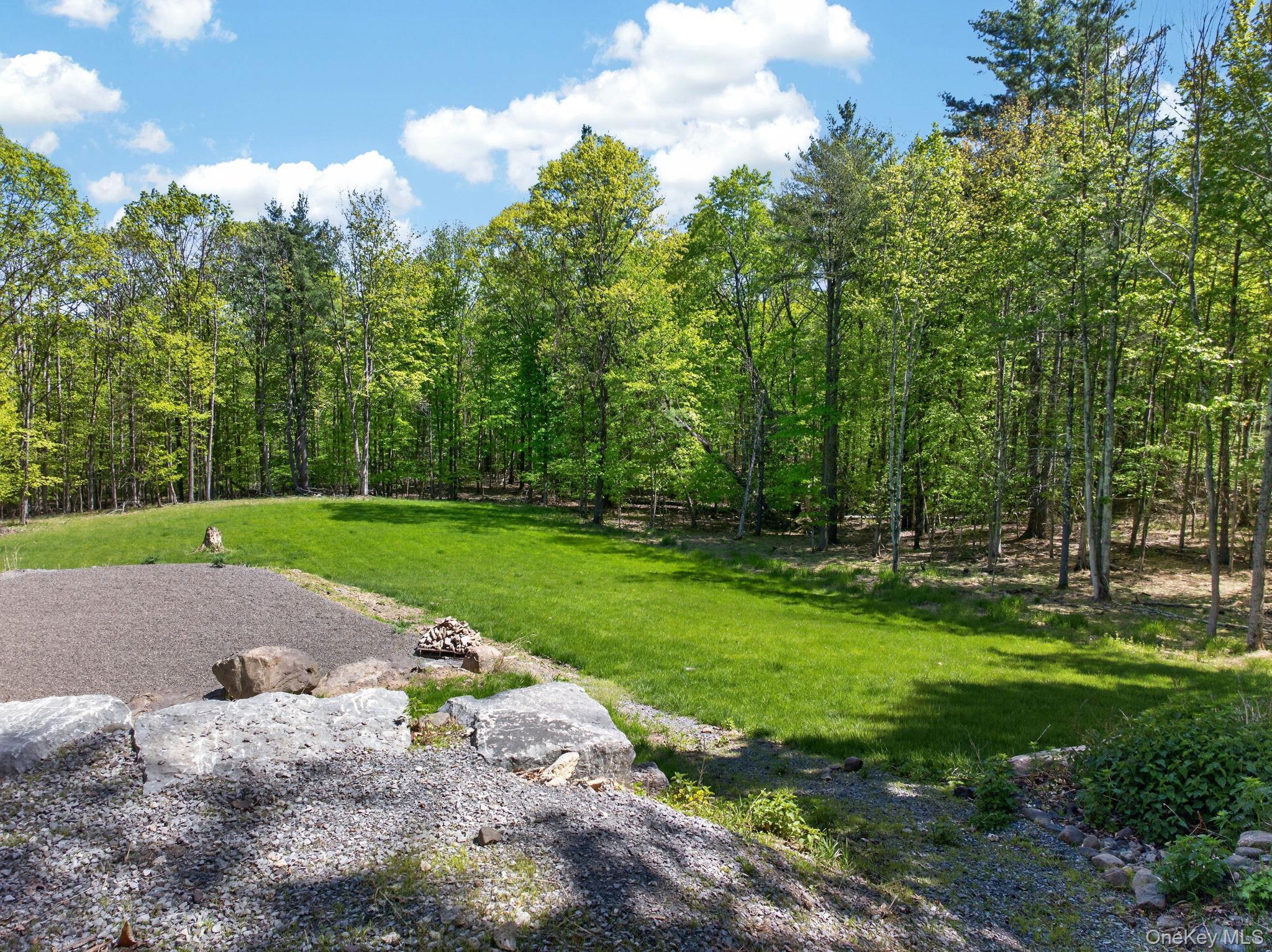 Single Family Morrison Road Greene County, NY 12405, MLS-1007463-47
