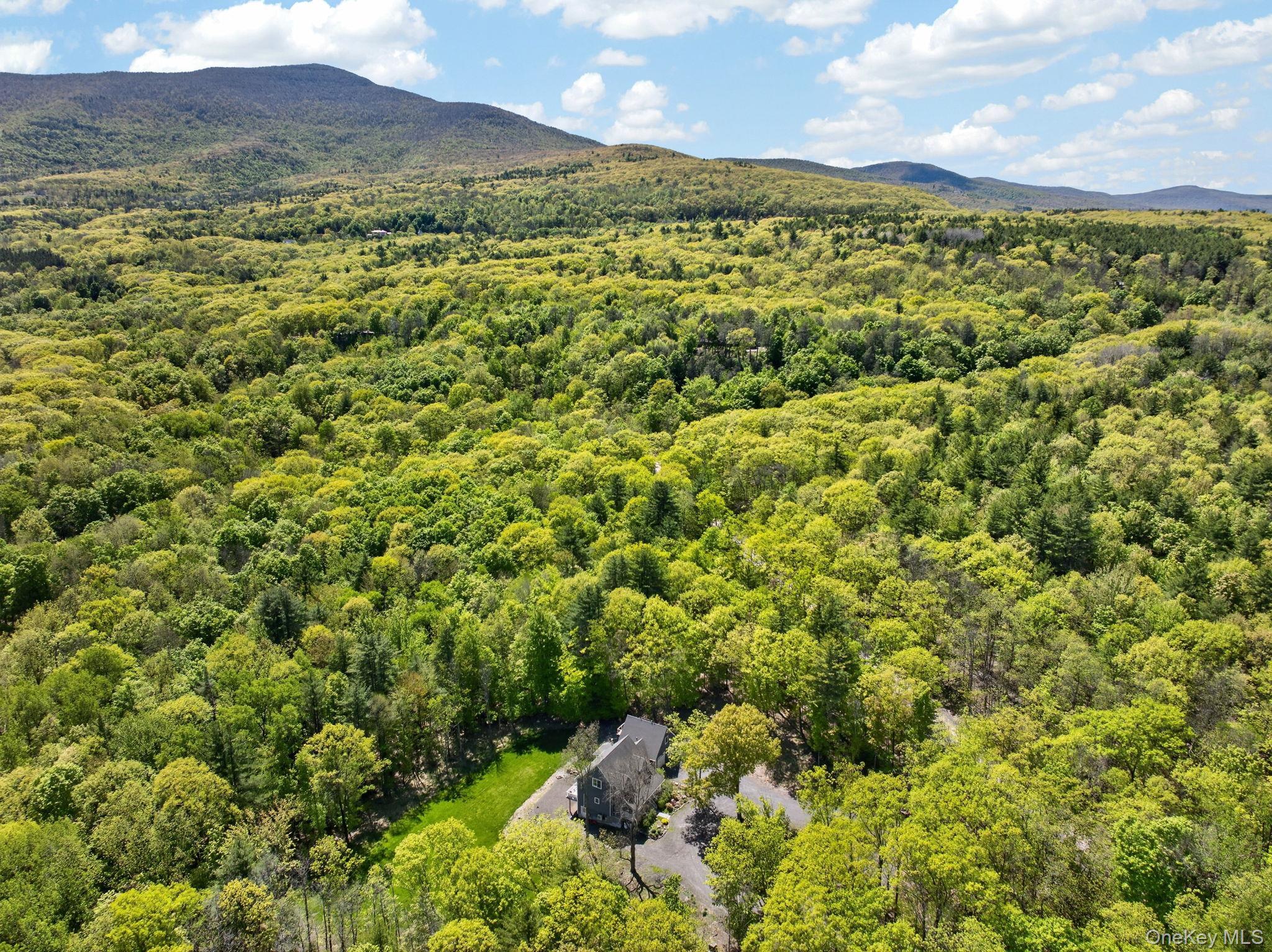 Single Family Morrison Road Greene County, NY 12405, MLS-1007463-48