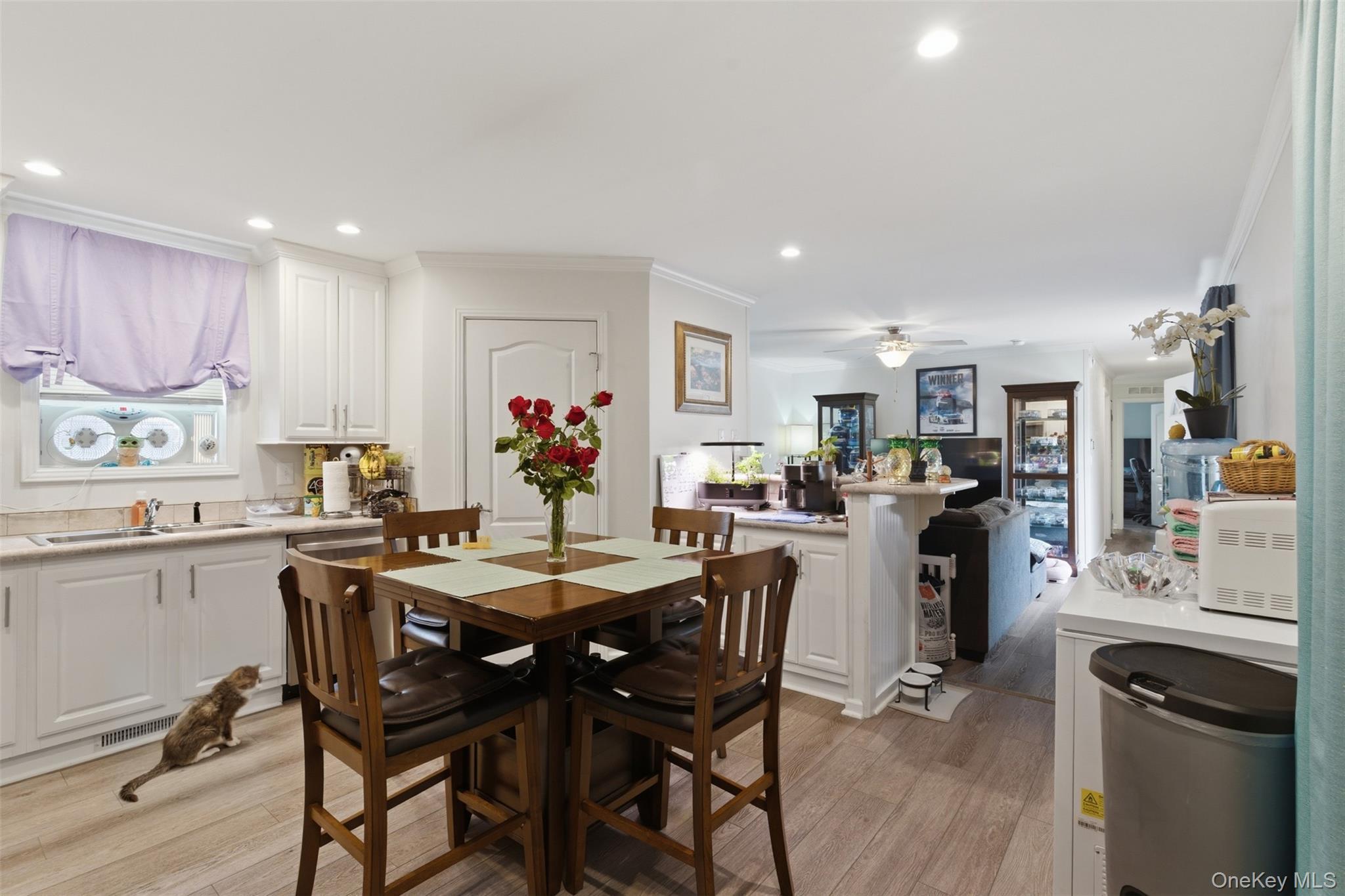 Single Family Sheafe Dutchess County, NY 12601, MLS-1007469-7
