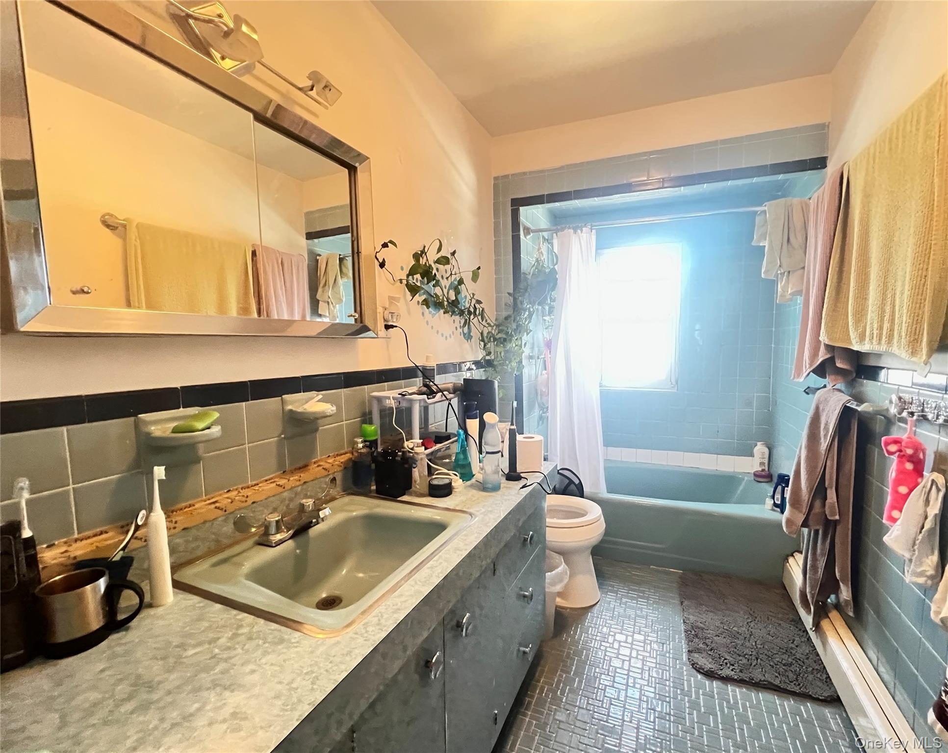 Single Family 66th Queens, NY 11378, MLS-1007470-11