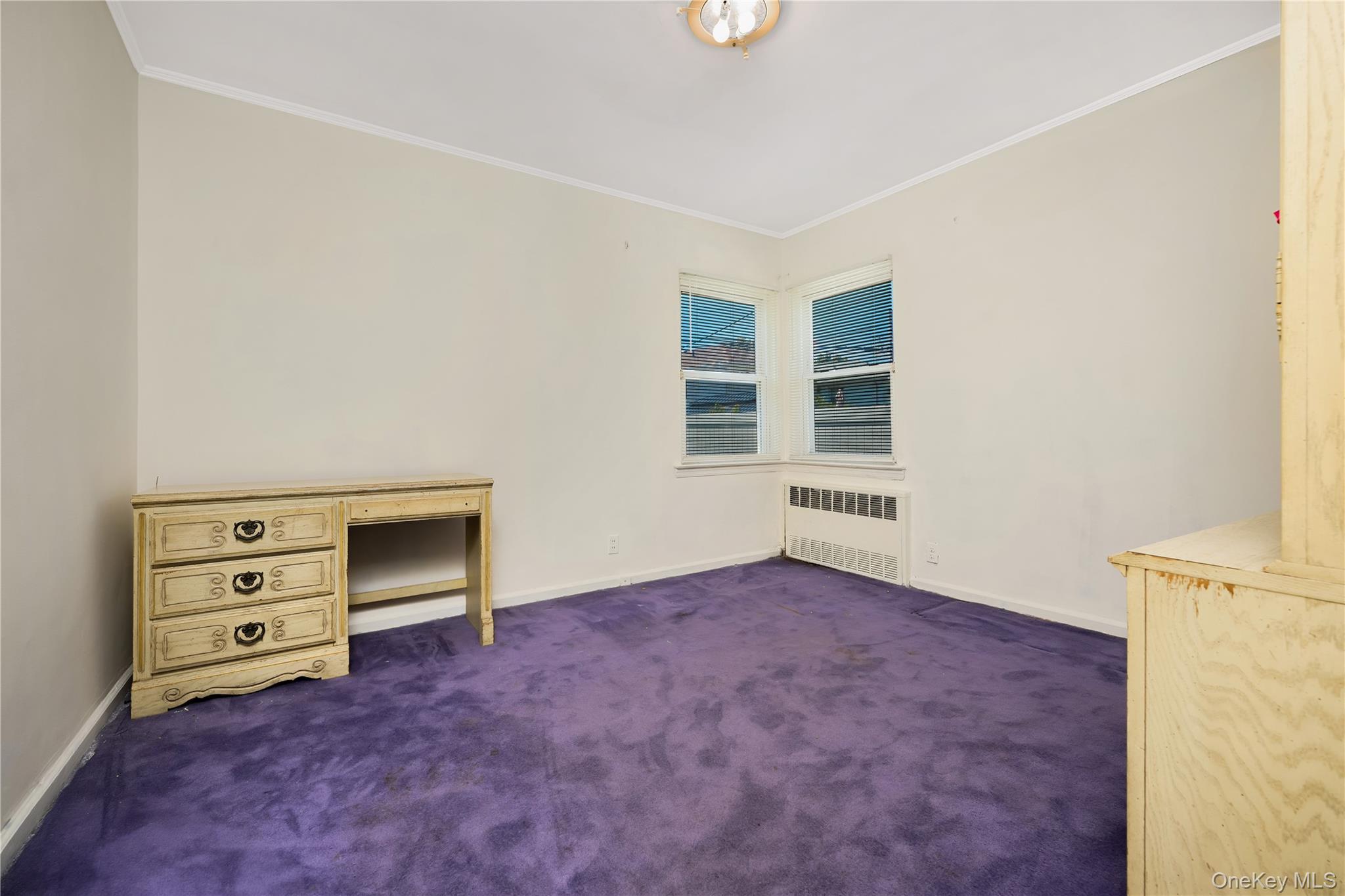 Single Family 171st Street Queens, NY 11366, MLS-1007471-9