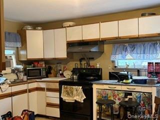 Single Family Willowbrook Dutchess County, NY 12603, MLS-1007487-9