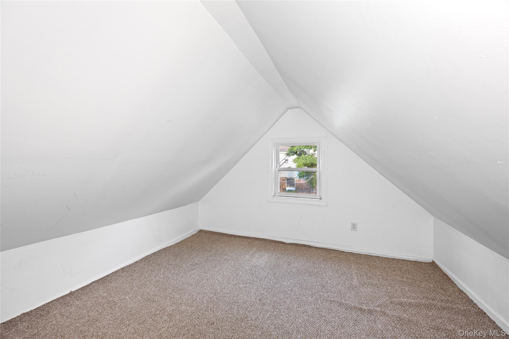 Single Family Henry Street Nassau County, NY 11553, MLS-1007584-31