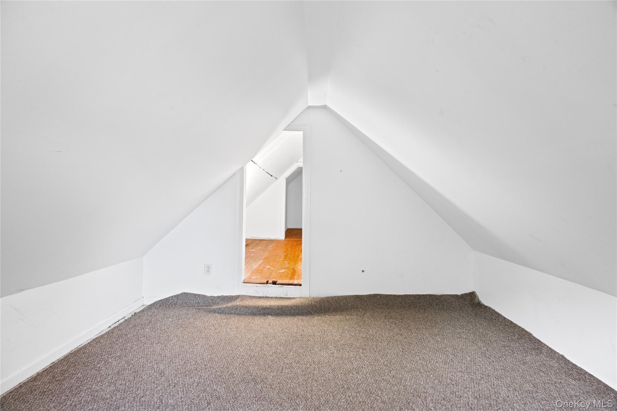 Single Family Henry Street Nassau County, NY 11553, MLS-1007584-32